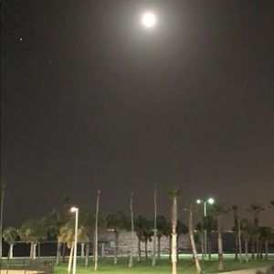 Meet your Posher, Alicia